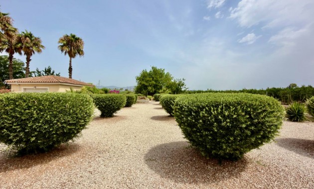 Venta - Villa -
Catral