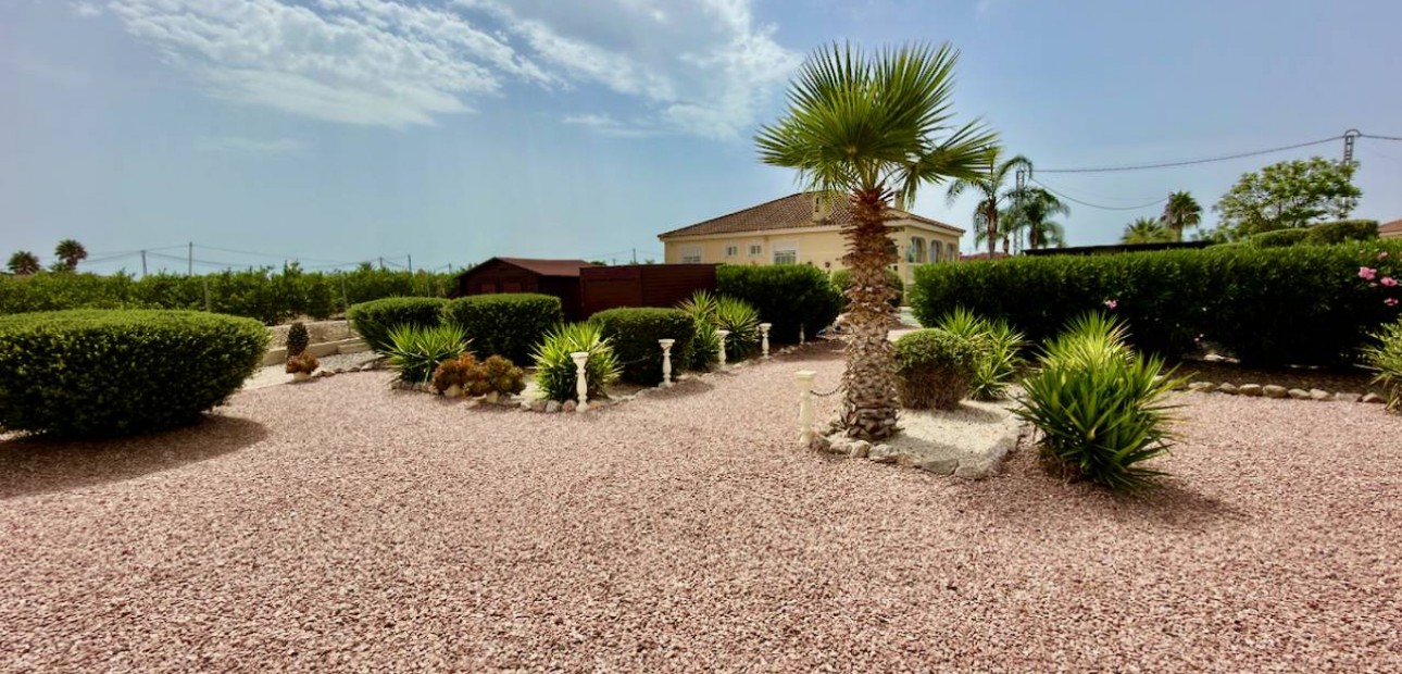 Venta - Villa -
Catral