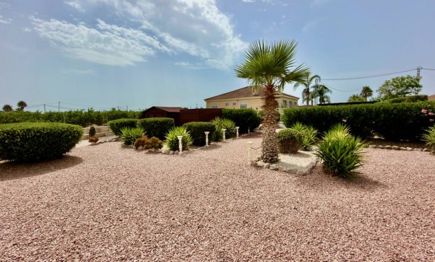 Venta - Villa -
Catral