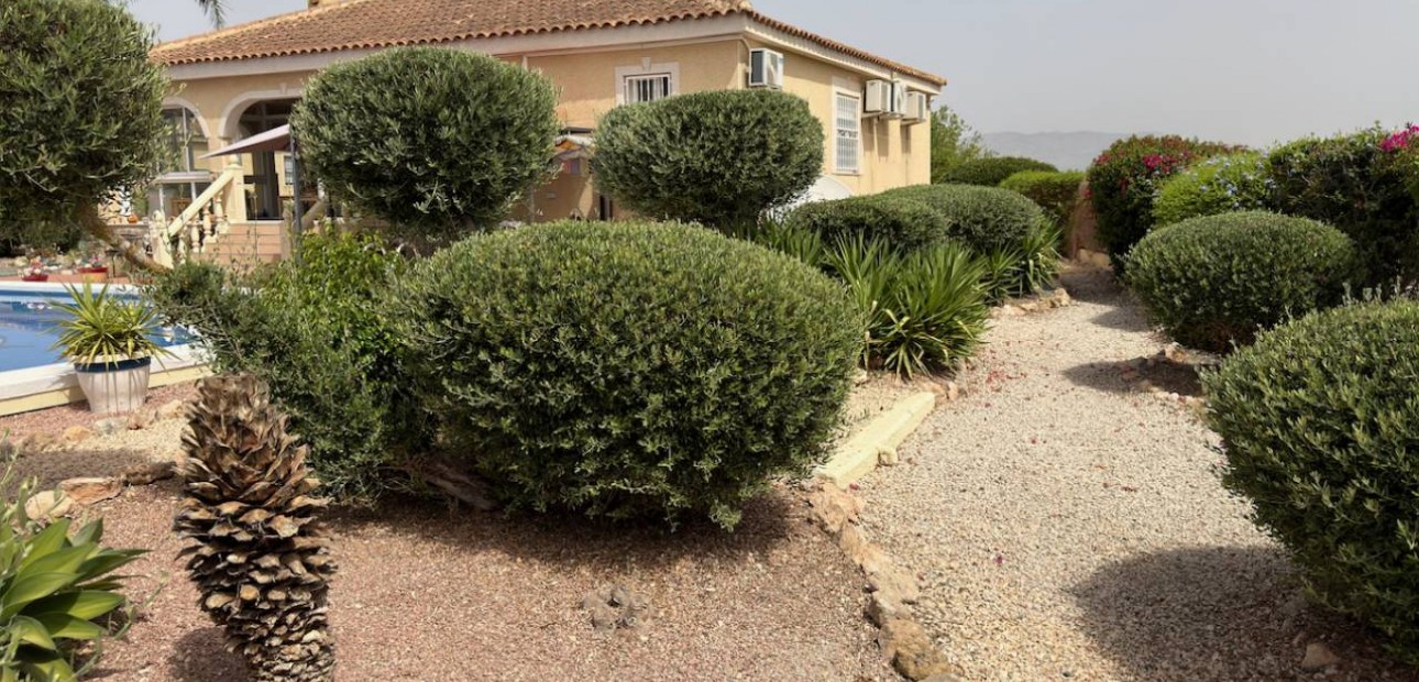 Venta - Villa -
Catral