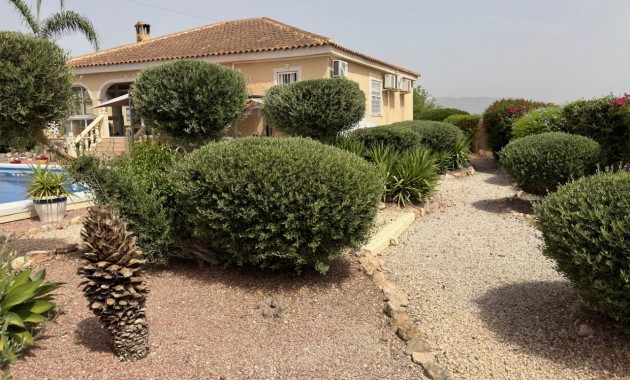Venta - Villa -
Catral