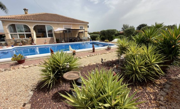 Venta - Villa -
Catral