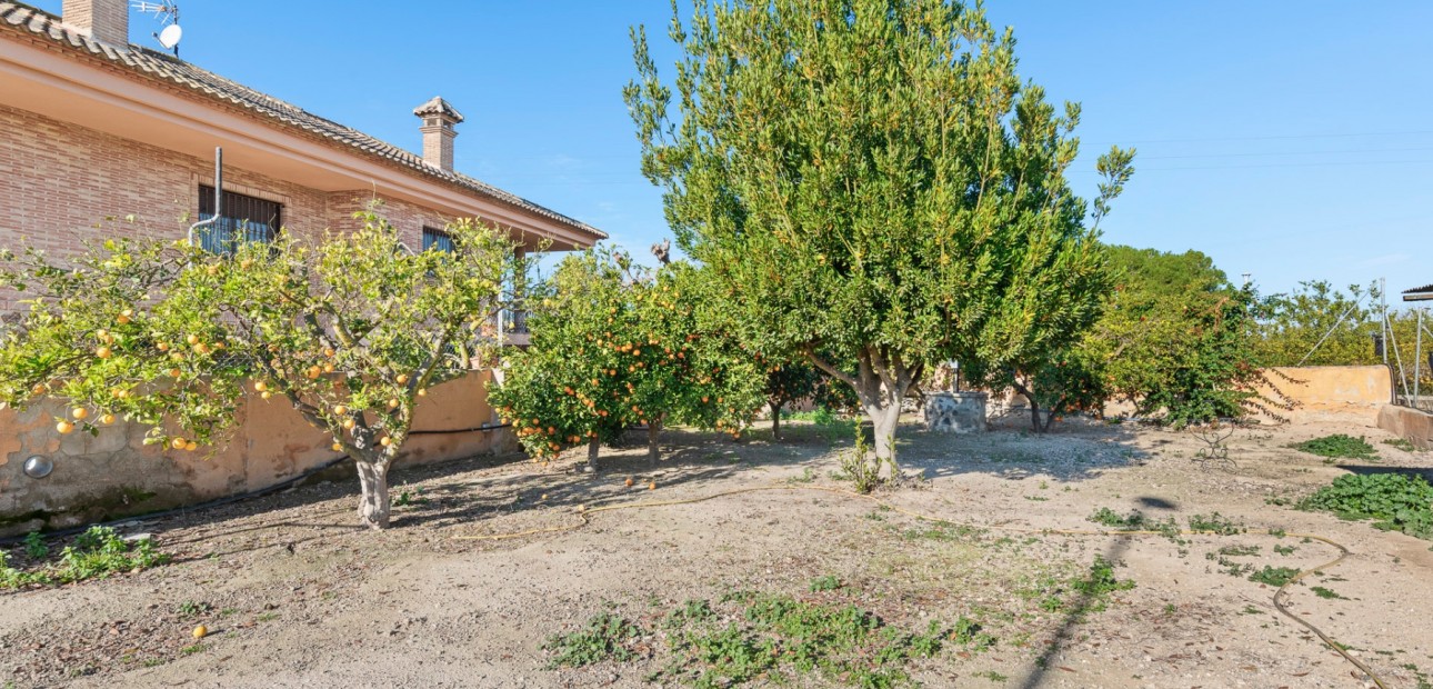Venta - Country Property -
Beniel - Beniel - Country