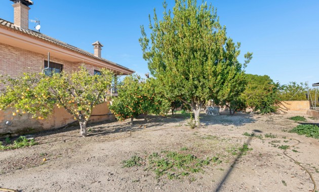 Venta - Country Property -
Beniel - Beniel - Country