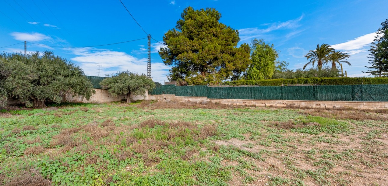 Venta - Country Property -
Elche - Elche - Country