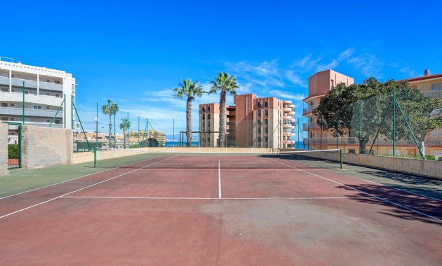Venta - Apartamento / piso -
Arenales del Sol - Arenales del Sol - Town