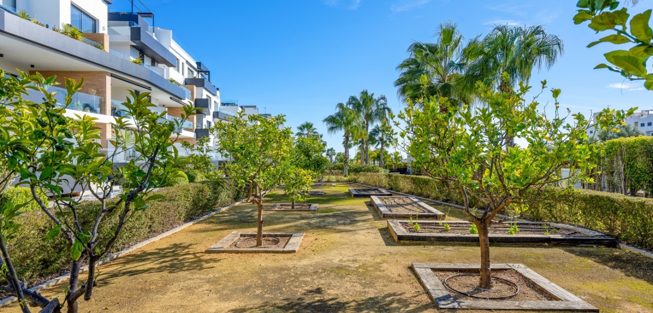 Venta - Apartamento / piso -
Orihuela Costa - Los Dolses