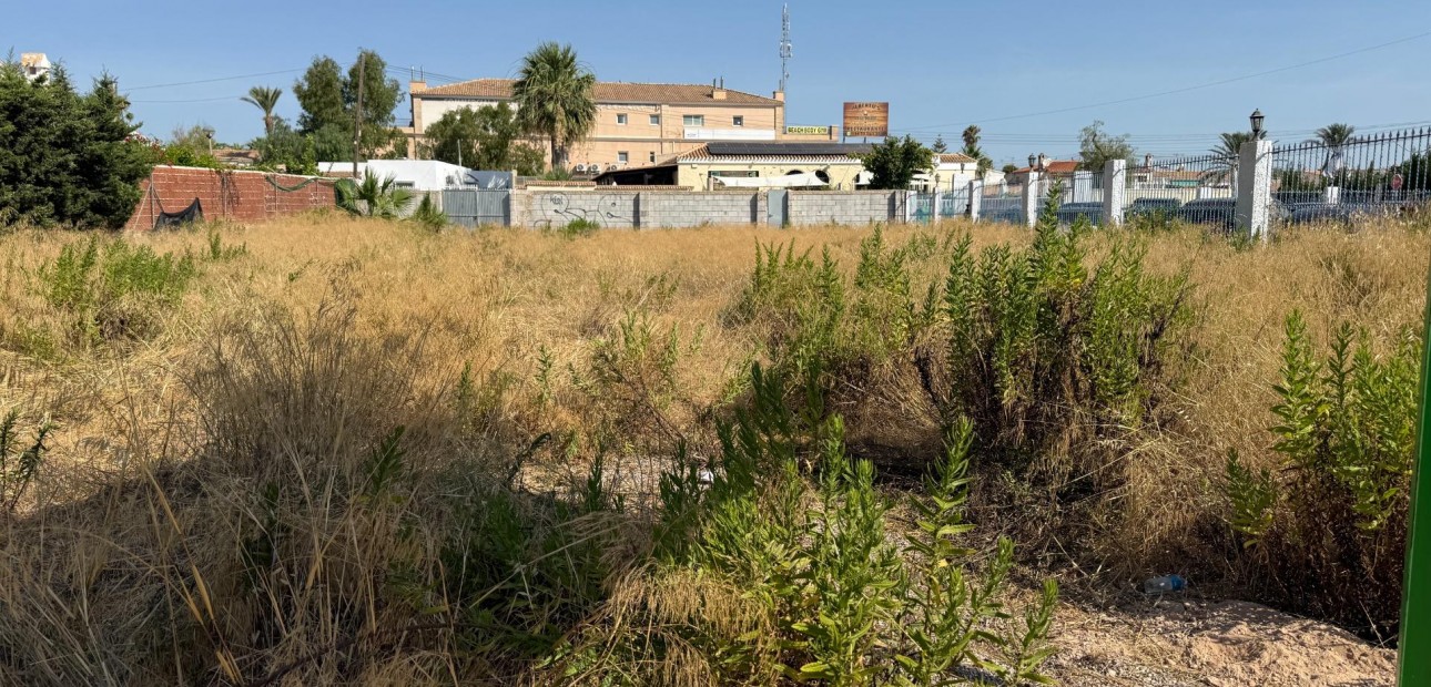 Venta - Parcela / Terreno -
Orihuela Costa - La Regia