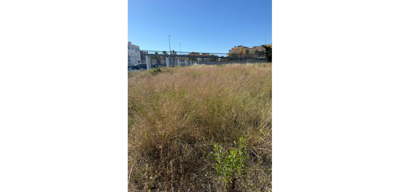 Venta - Parcela / Terreno -
Orihuela Costa - La Regia