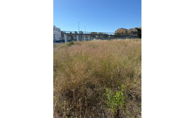 Venta - Parcela / Terreno -
Orihuela Costa - La Regia