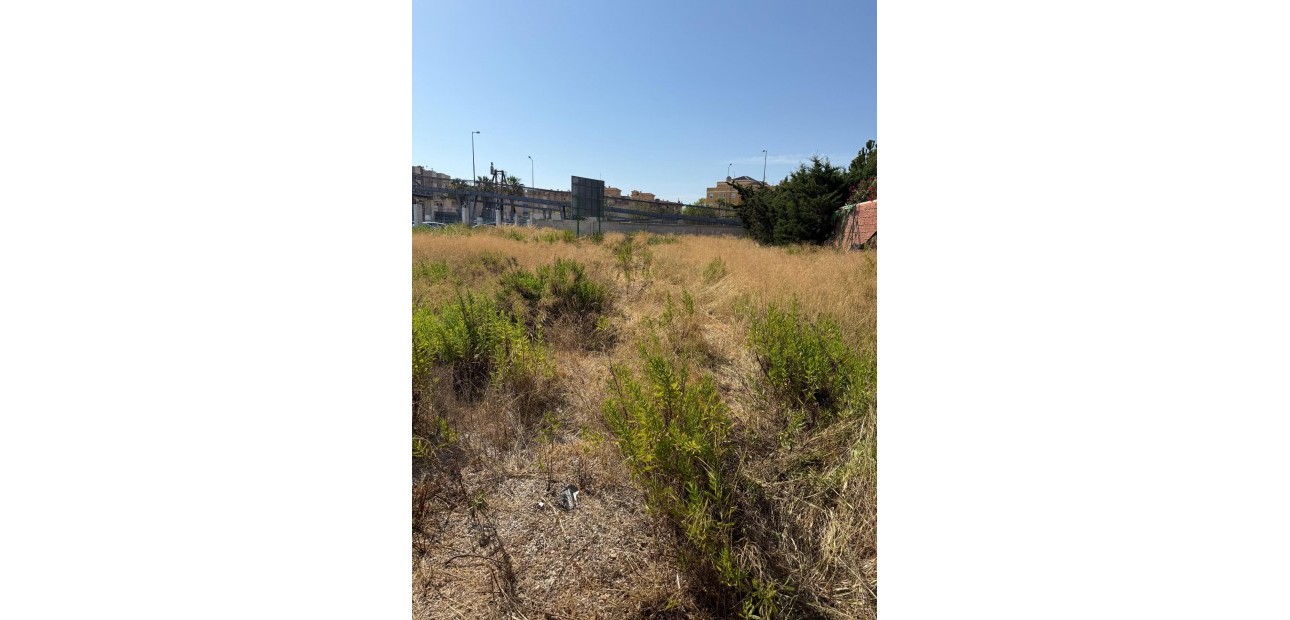 Venta - Parcela / Terreno -
Orihuela Costa - La Regia