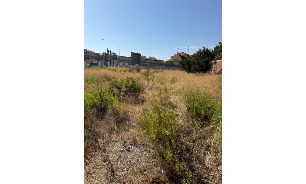 Venta - Parcela / Terreno -
Orihuela Costa - La Regia
