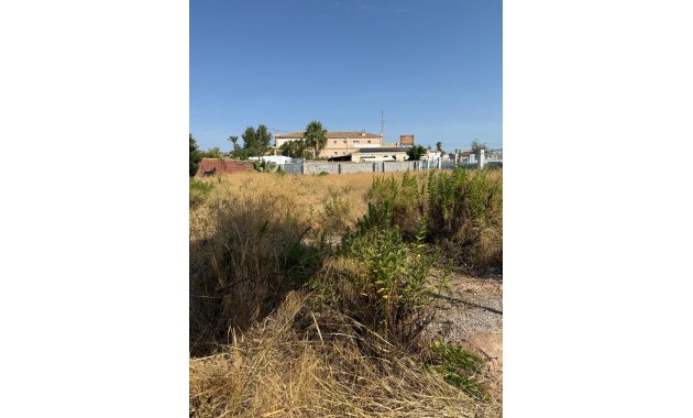 Venta - Parcela / Terreno -
Orihuela Costa - La Regia
