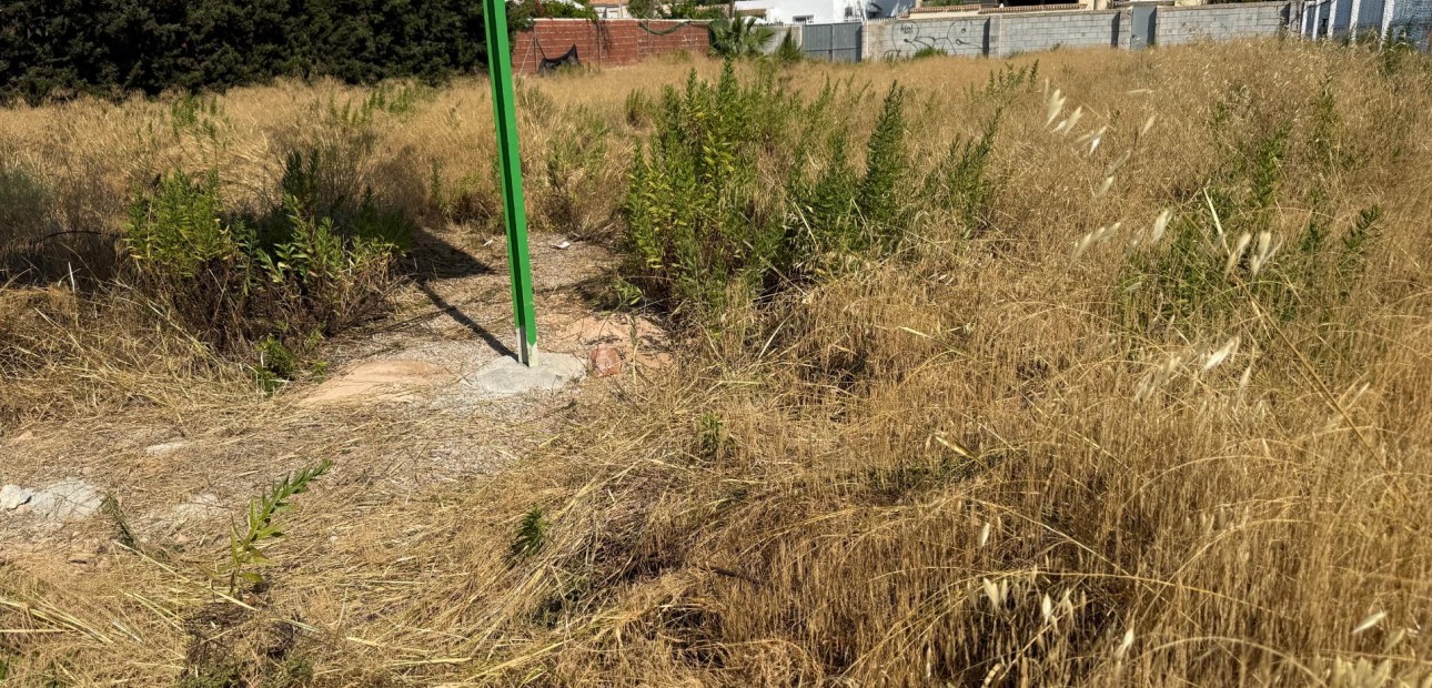 Venta - Parcela / Terreno -
Orihuela Costa - La Regia