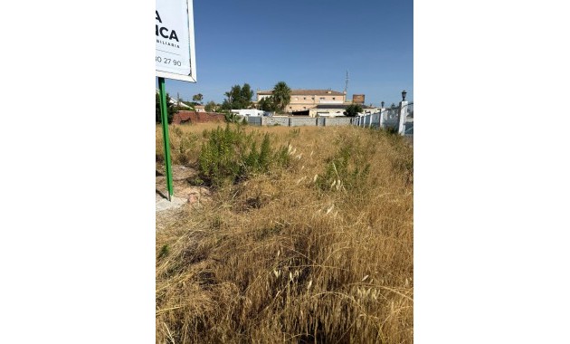 Venta - Parcela / Terreno -
Orihuela Costa - La Regia