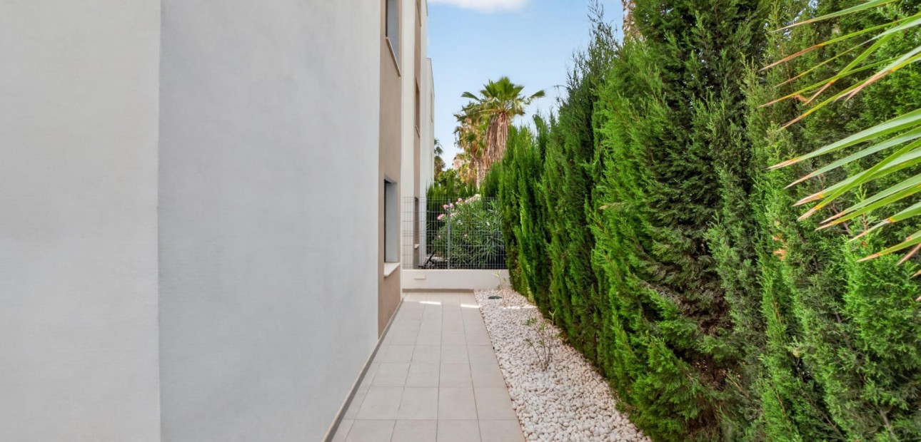 Venta - Detached Villa -
Guardamar del Segura - El Raso