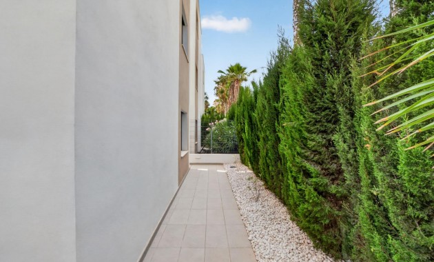 Venta - Detached Villa -
Guardamar del Segura - El Raso