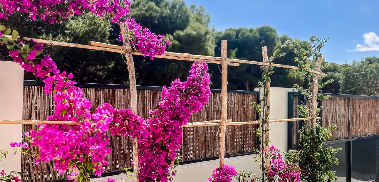 Venta - Apartamento / piso -
San Javier - Santiago de la Ribera
