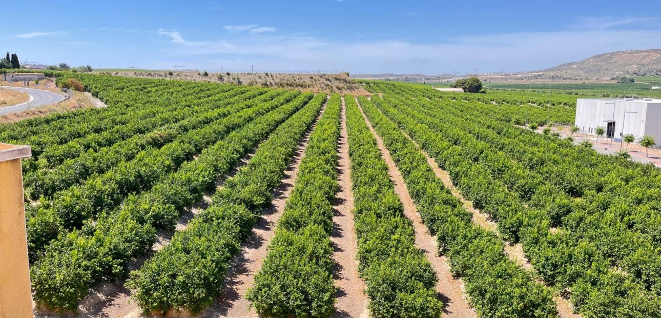 Venta - Apartamento / piso -
Algorfa - Pueblo