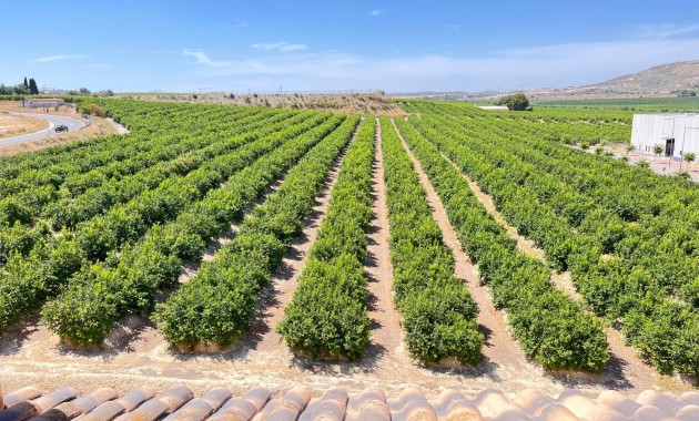 Venta - Apartamento / piso -
Algorfa - Pueblo