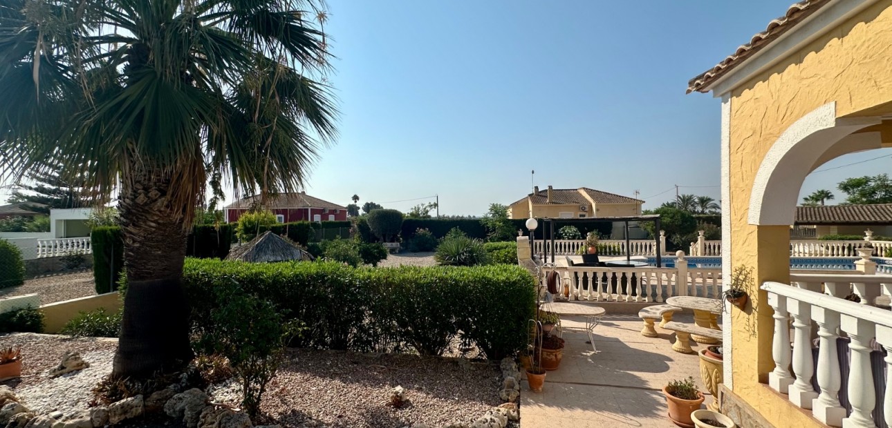 Venta - Country Property -
Catral