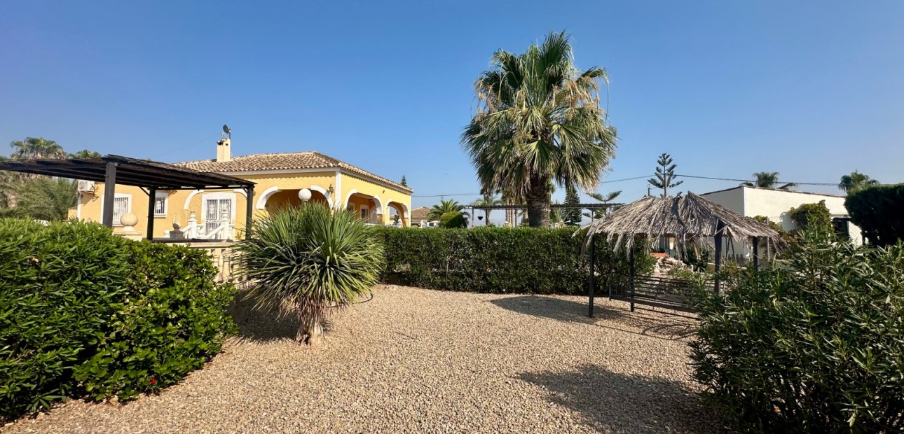 Venta - Country Property -
Catral