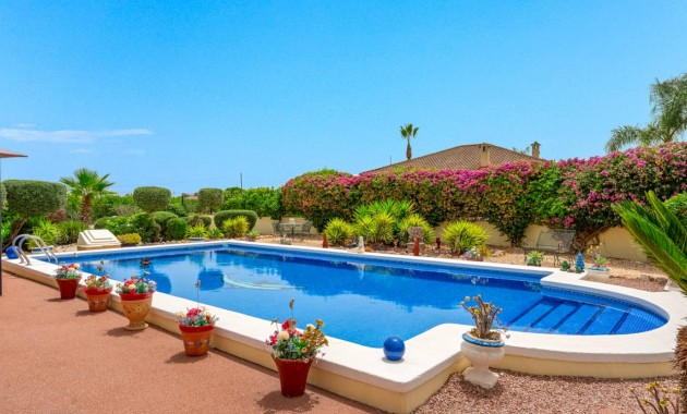 Venta - Villa -
Catral