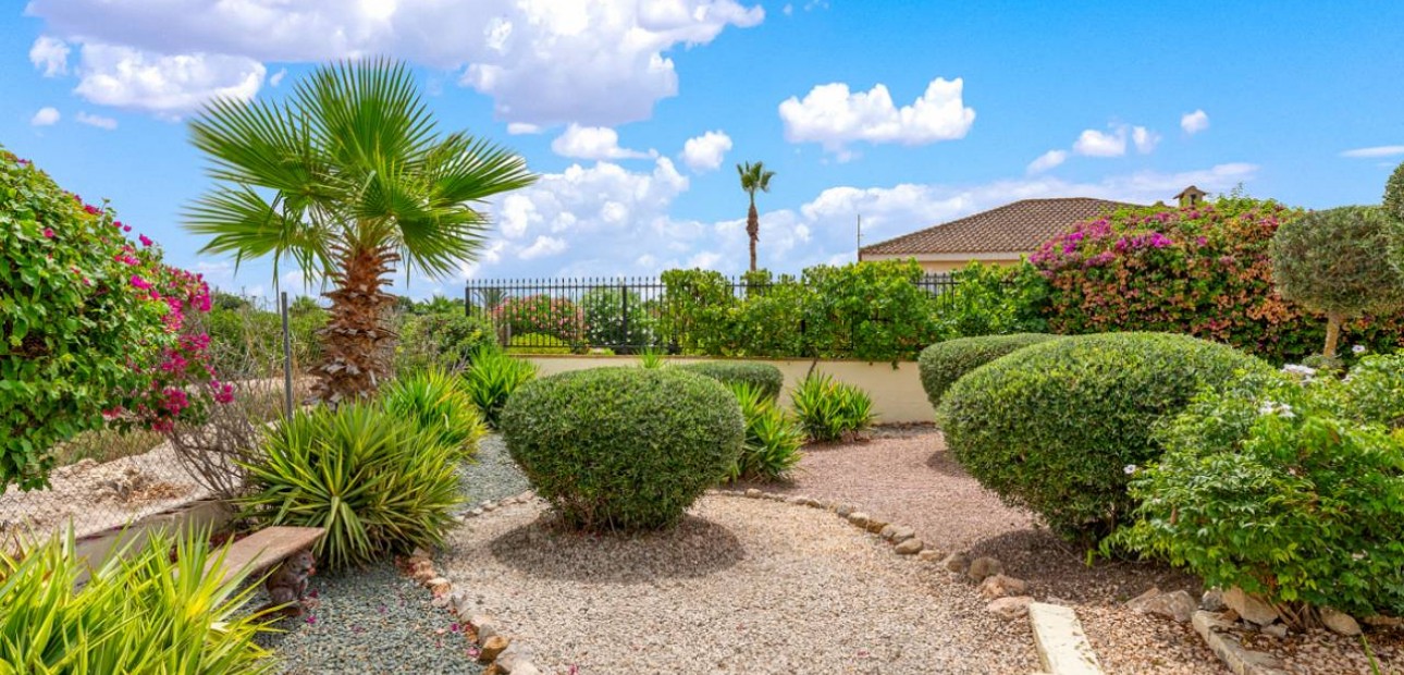 Venta - Villa -
Catral