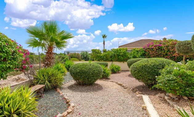 Venta - Villa -
Catral