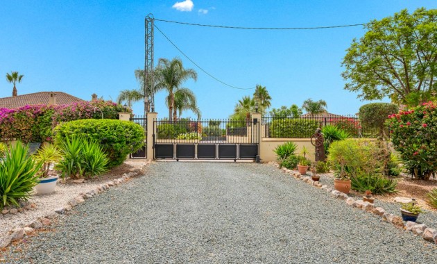 Venta - Villa -
Catral