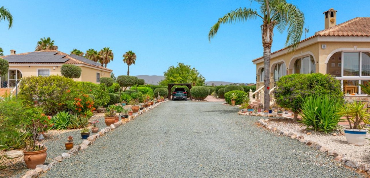 Venta - Villa -
Catral
