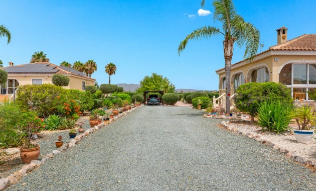 Venta - Villa -
Catral