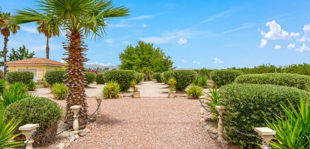 Venta - Villa -
Catral