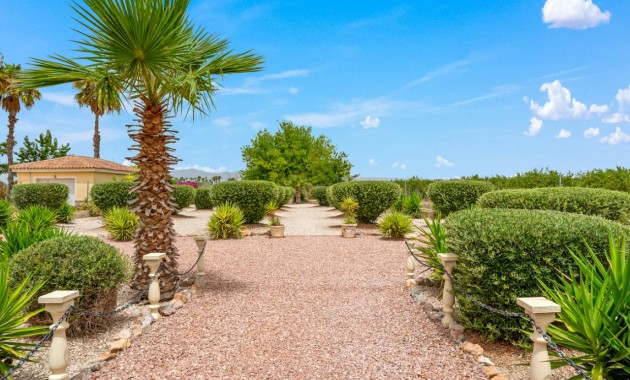 Venta - Villa -
Catral