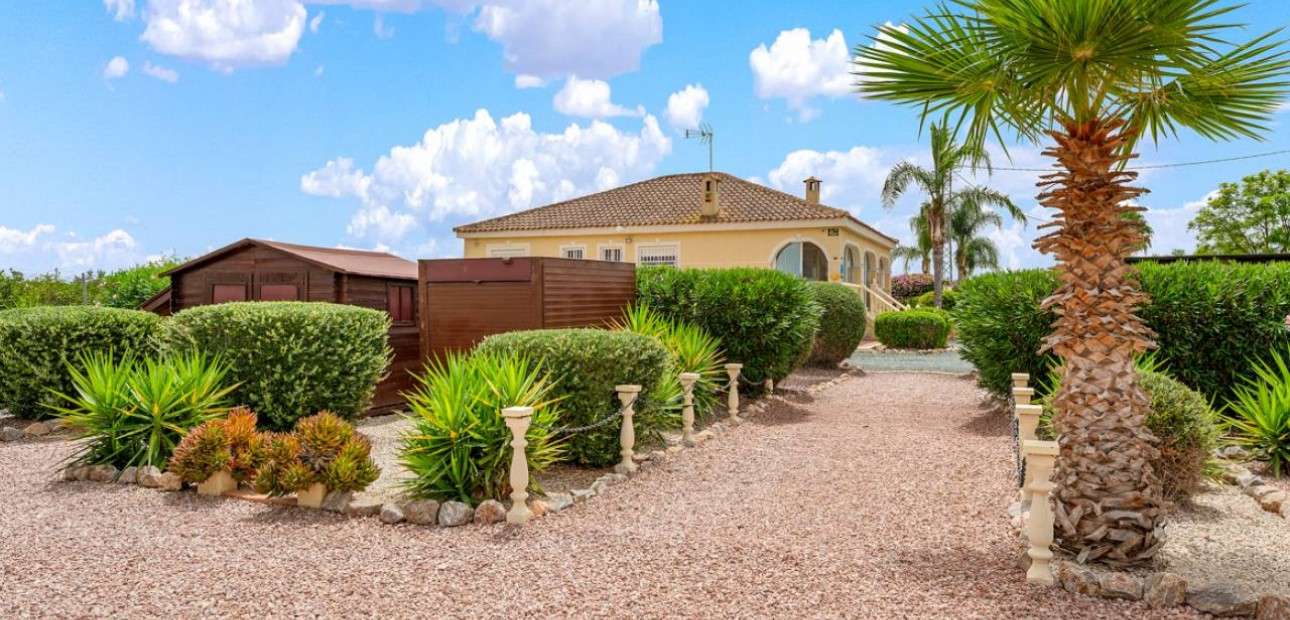 Venta - Villa -
Catral