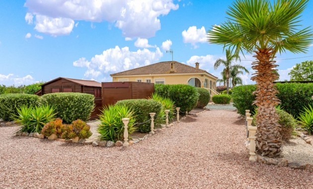 Venta - Villa -
Catral