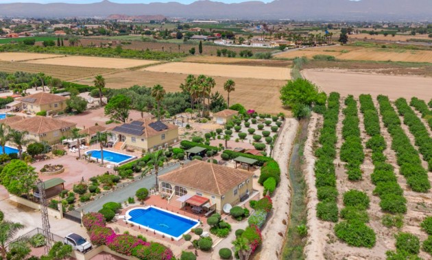 Venta - Villa -
Catral