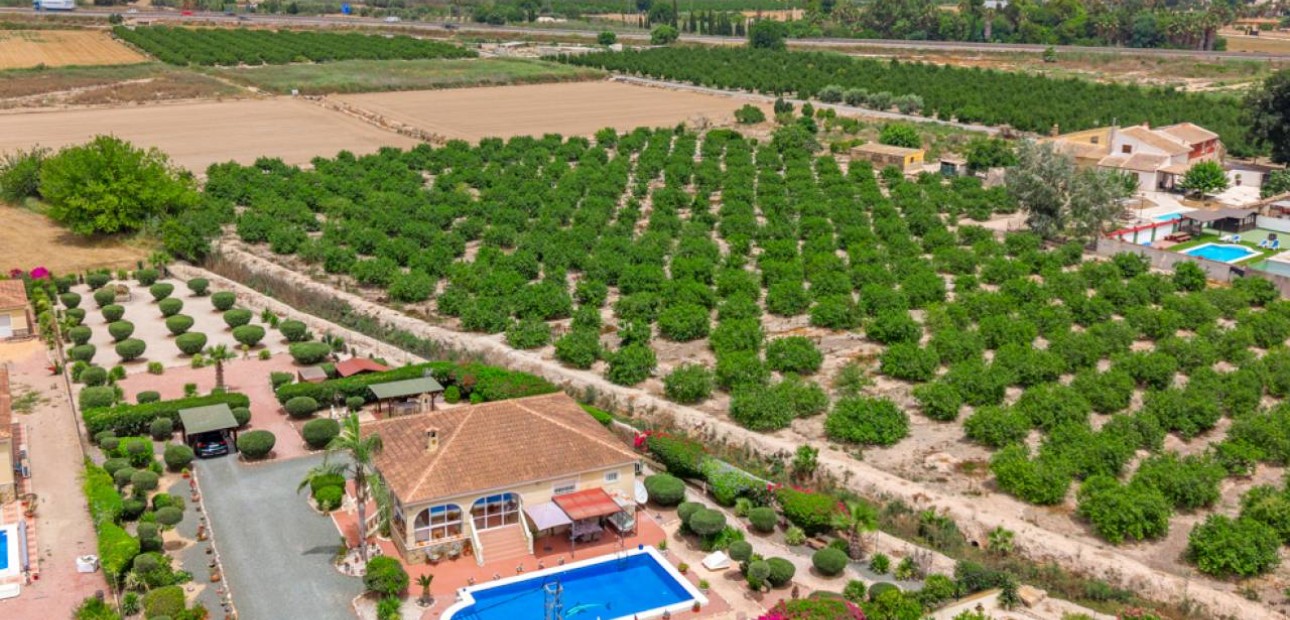 Venta - Villa -
Catral