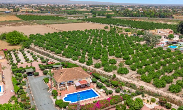 Venta - Villa -
Catral
