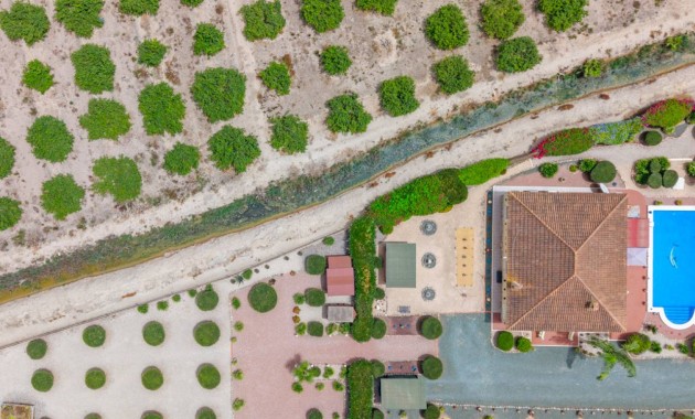 Venta - Villa -
Catral