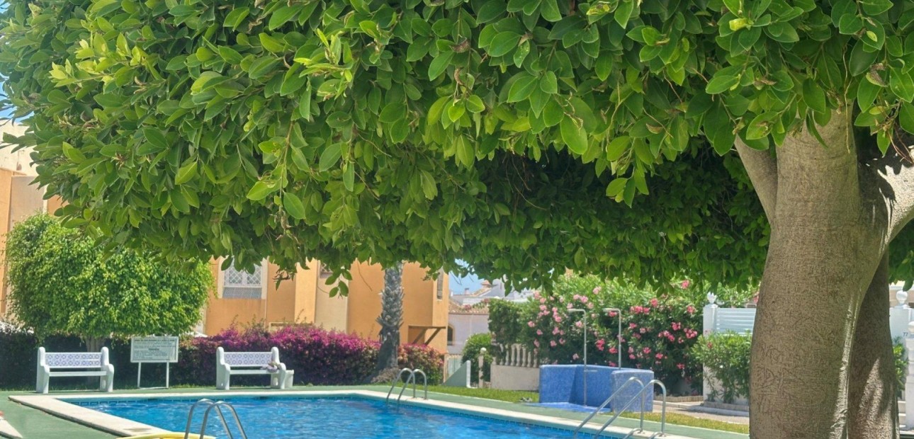 Herverkoop - Bungalow -
Torrevieja - Torreblanca
