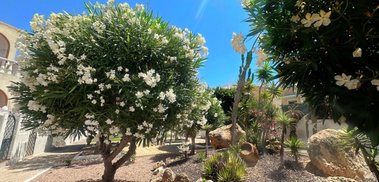 Herverkoop - Bungalow -
Torrevieja - Torreblanca
