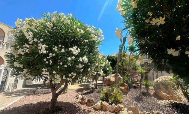 Herverkoop - Bungalow -
Torrevieja - Torreblanca
