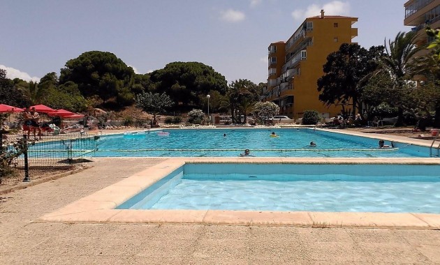 Sale - Apartment / flat -
Guardamar del Segura - Urbanizaciones