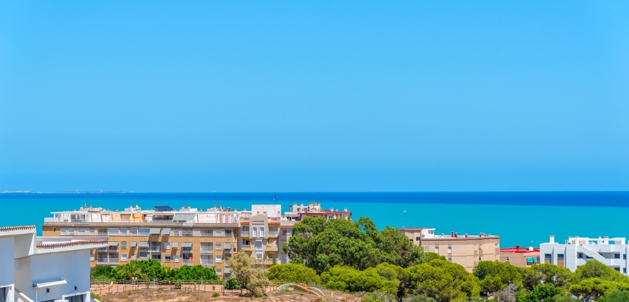 Sale - Detached Villa -
Guardamar del Segura - Los Secanos
