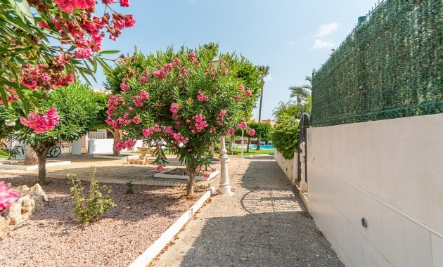 Sale - Apartment / flat -
Torrevieja - Torreblanca
