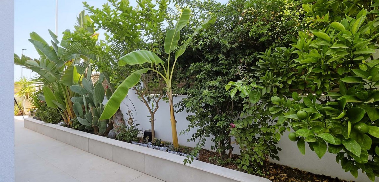 Sale - Apartment / flat -
Lo Pagan - Lo Pagan - Town