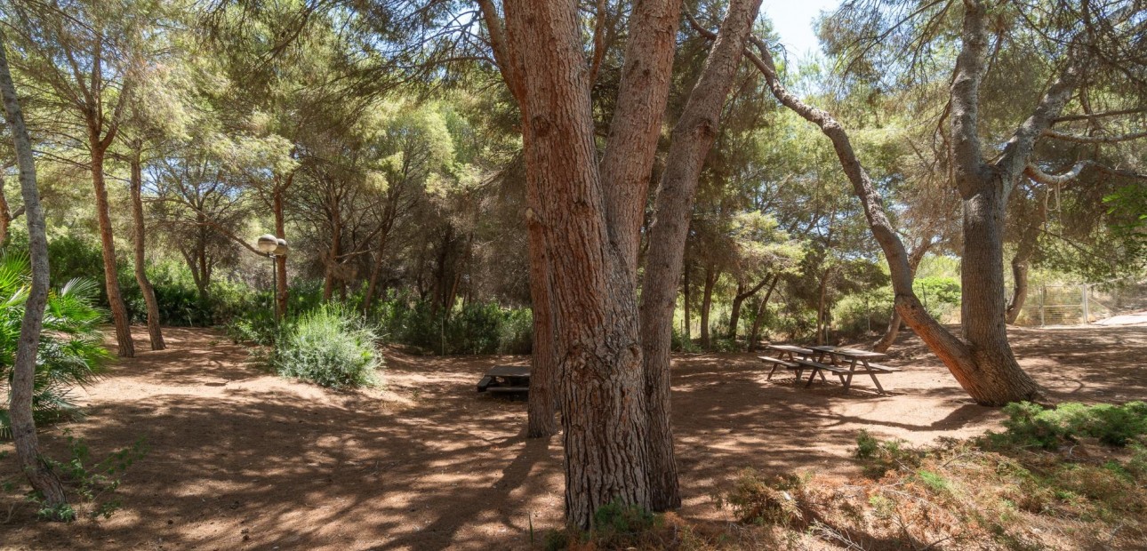 Sale - Apartment / flat -
Orihuela Costa - Altos de Campoamor
