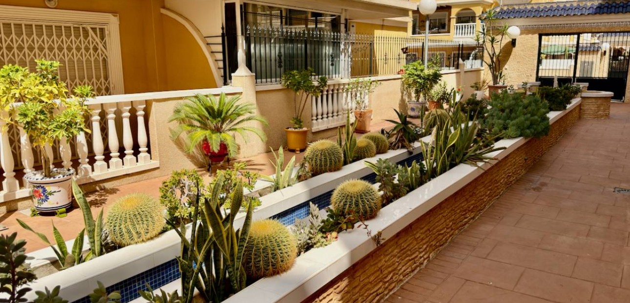 Herverkoop - Appartement / flat -
Algorfa