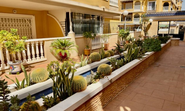 Herverkoop - Appartement / flat -
Algorfa